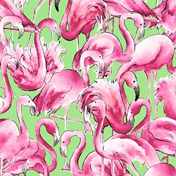 Green - Flamingos