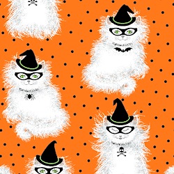 Orange - Masquerade Meow Meow