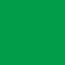 RA 1000m - 2579 Vibrant Green