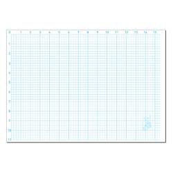 Graph Pad (A3 Sheets x 20)